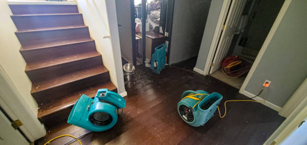 Best Water damage contractors near me  in Marcus Hook, PA