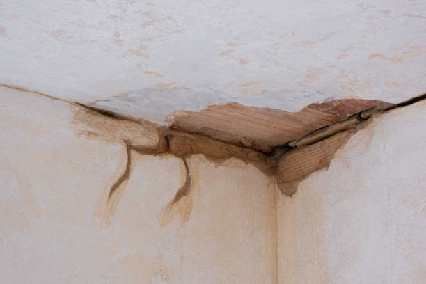 Best Residential water damage restoration  in Marcus Hook, PA