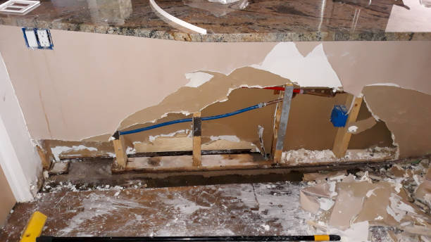 Best Water damage cleanup near me  in Marcus Hook, PA