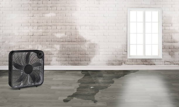 Reliable PA Water damage restoration Solutions