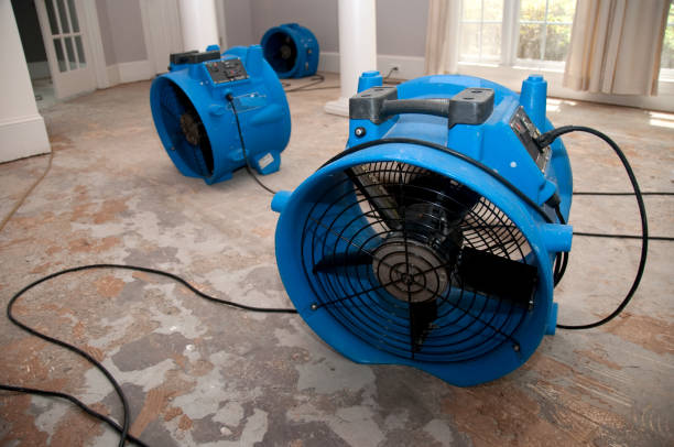 Best 24/7 water damage repair  in Marcus Hook, PA