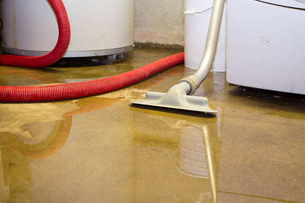 Best Professional water damage repair  in Marcus Hook, PA