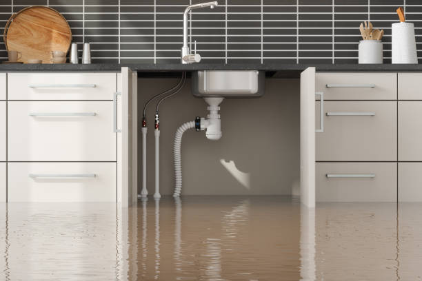 Best Water damage restoration near me  in Marcus Hook, PA