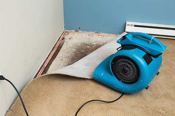 Best 24-hour water damage restoration  in Marcus Hook, PA